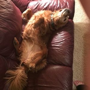 Meet your Posher, Nick